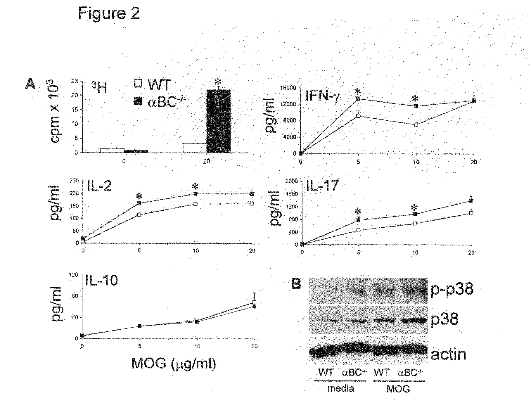 Alpha b-chrystallin as a therapy for inflammation