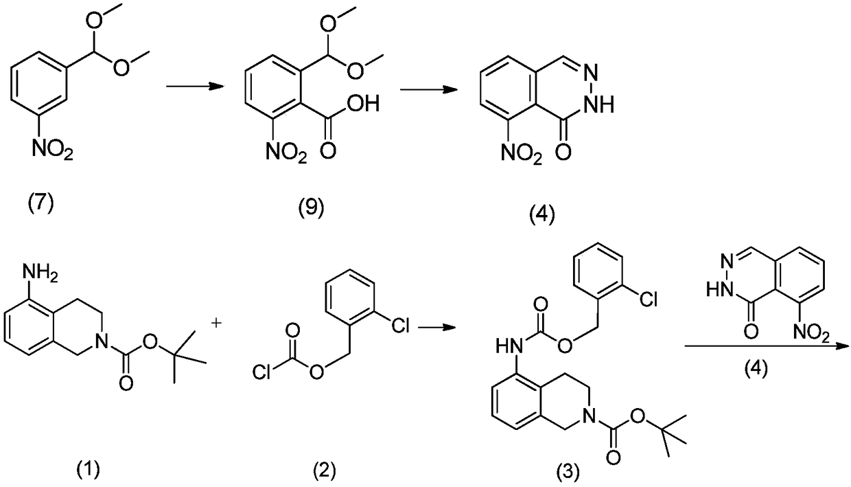 Paclitaxel and nitrophthalazinone BTK (Bruton 's tyrosine kinase) inhibitor combined pharmaceutical composition and application thereof