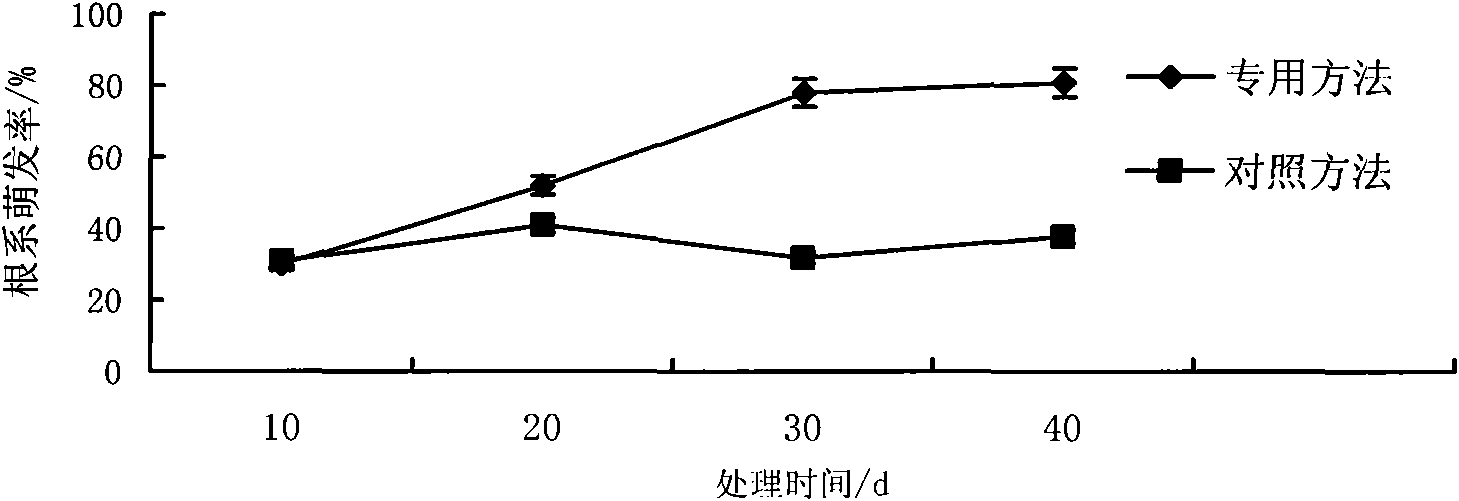 Hydroponic method of wodyetia bifurcata