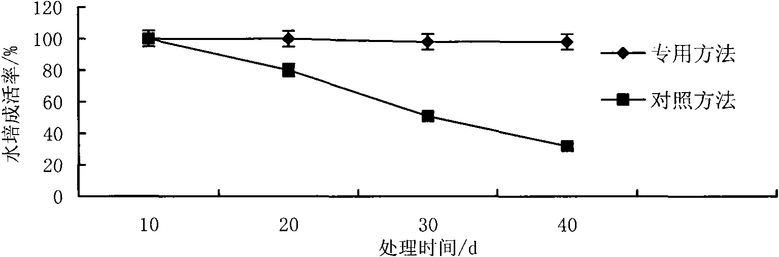 Hydroponic method of wodyetia bifurcata