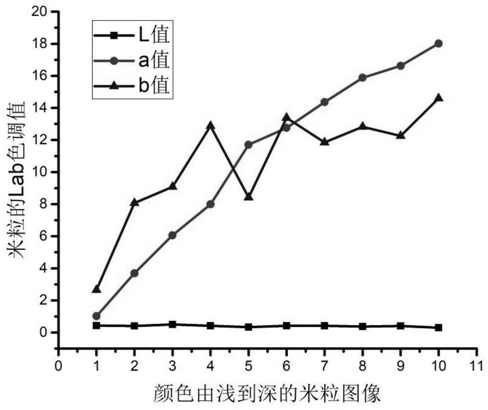 A method for rapid detection of yellow-grained rice