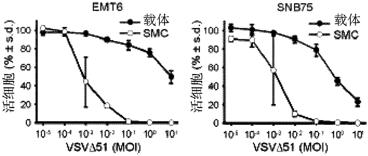 Smc combination therapy for treatment of cancer