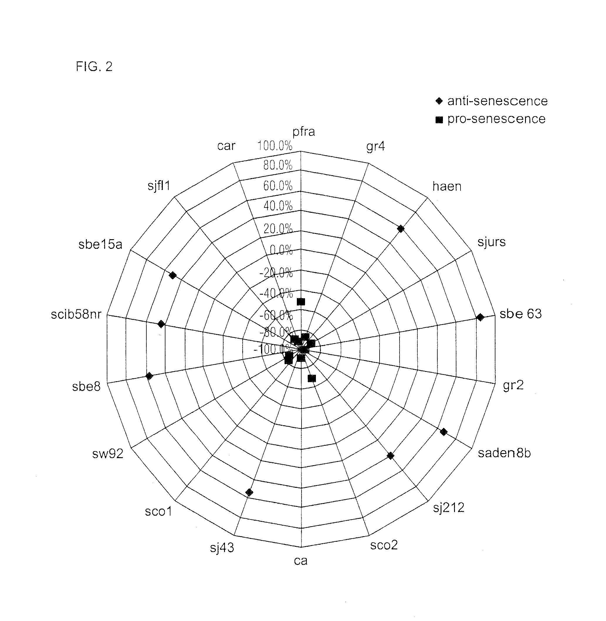 Screening method and substances for contrasting aging