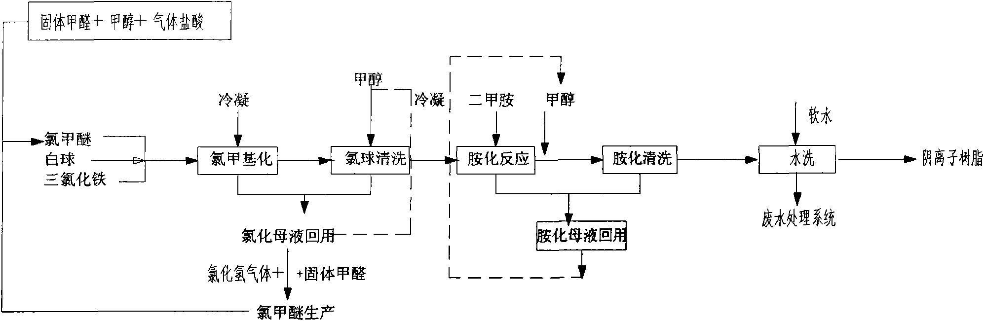 Anion exchange resin production system and production technology