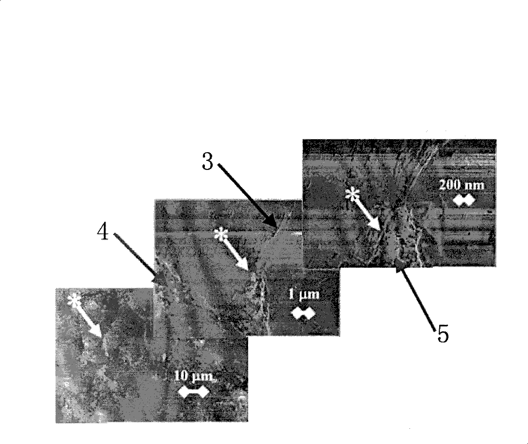 Diamond-silicon carbide combination drill teeth for petroleum probe boring and manufacture method thereof