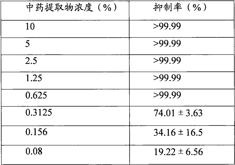 Traditional Chinese medicine extract for resisting oral helicobacter pylori, oral care product and preparation methods thereof