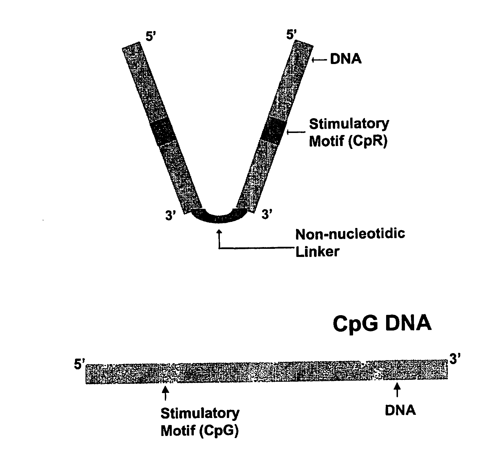 Immunogenic Hiv Compositions and Related Methods