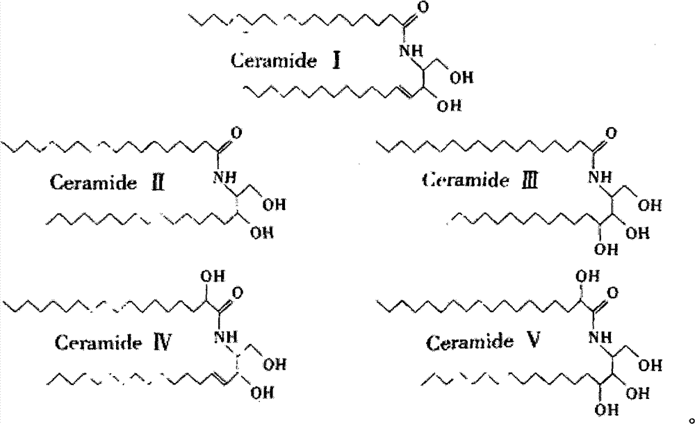 Ceramide-containing tea seed extract and preparation method thereof