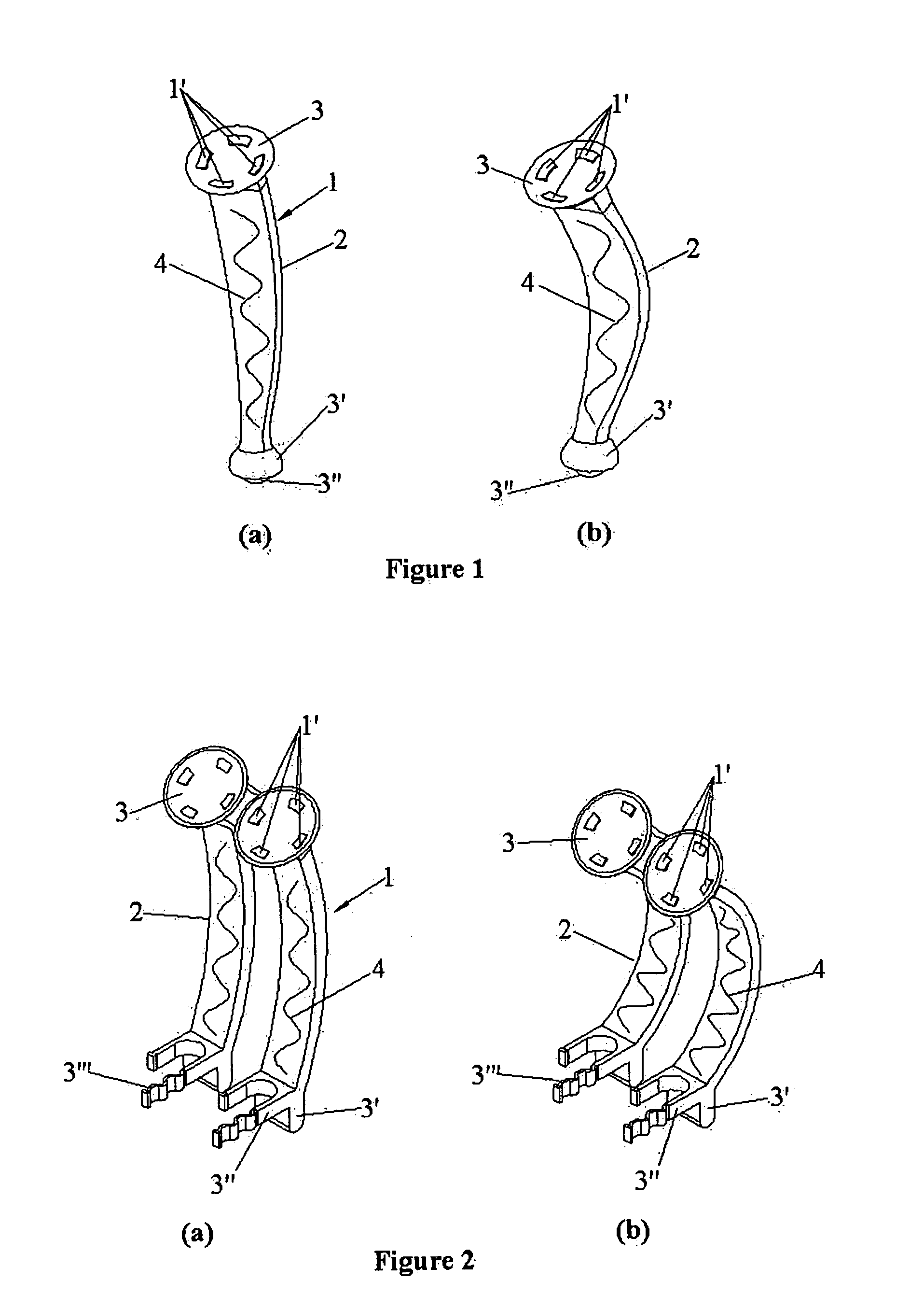 Backpack support apparatus