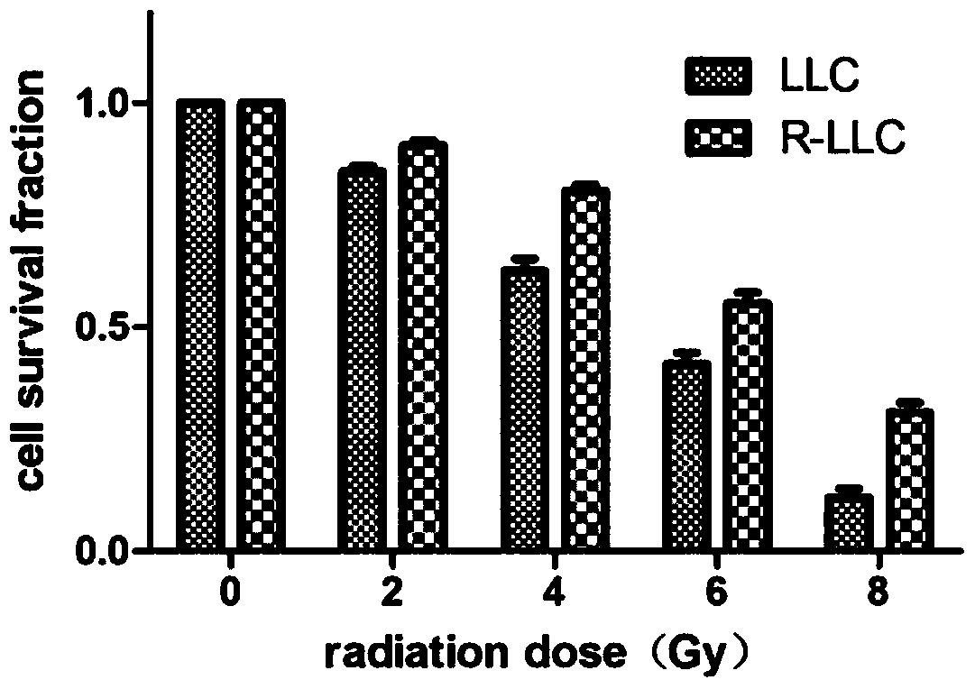 A kind of radioresistance lung cancer whole cell vaccine and its preparation method and application