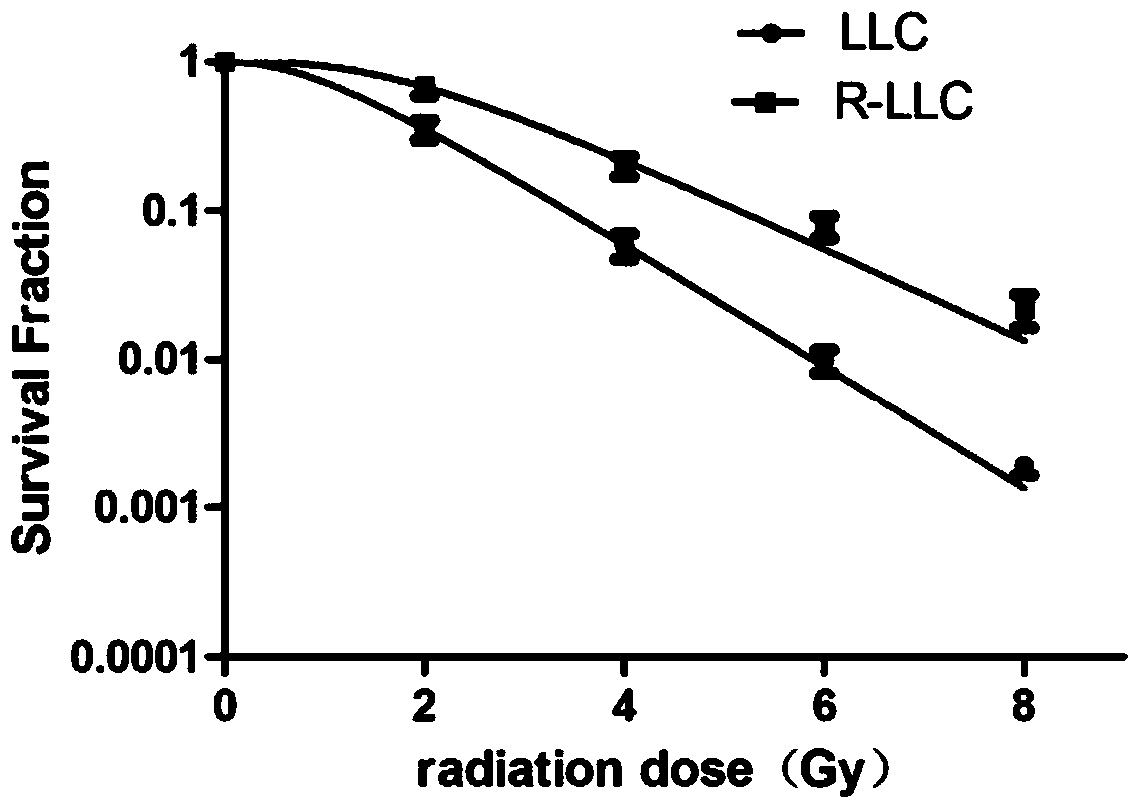A kind of radioresistance lung cancer whole cell vaccine and its preparation method and application