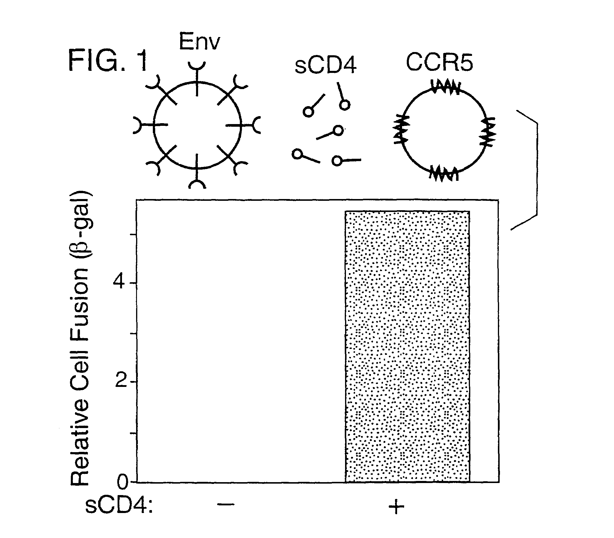 Chimeric protein for prevention and treatment of HIV infection