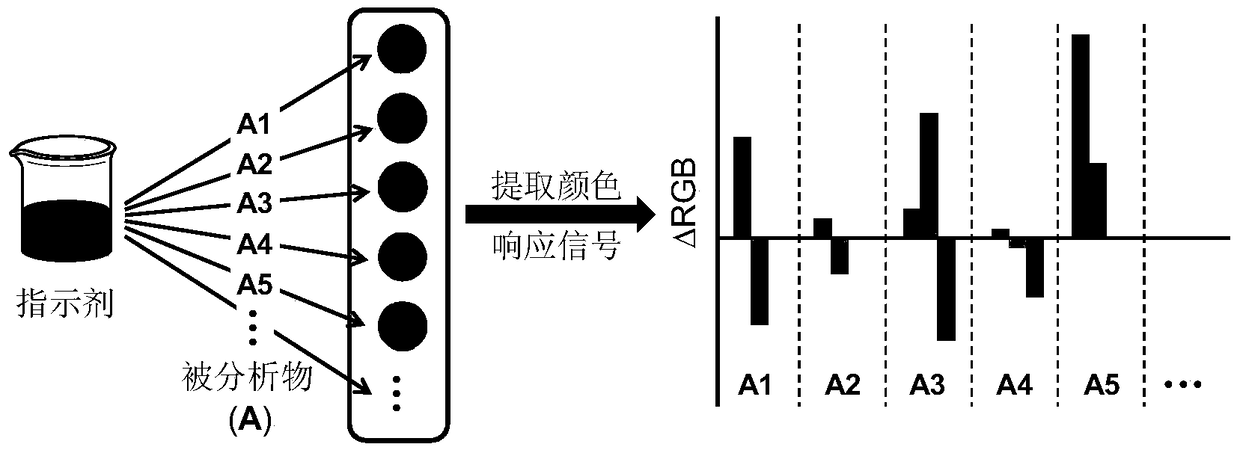 A method for distinguishing multiple metal ions using a single indicator