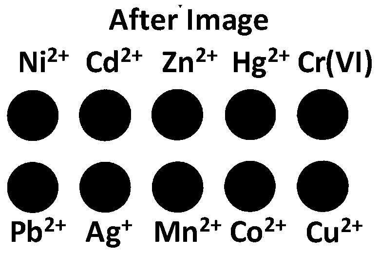 A method for distinguishing multiple metal ions using a single indicator