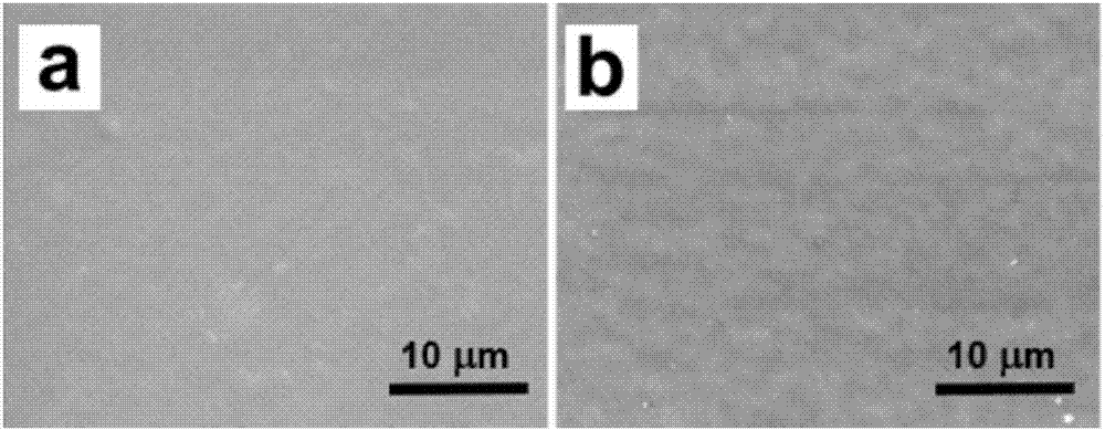 Surface immobilized modified cornea repair material and preparation method thereof