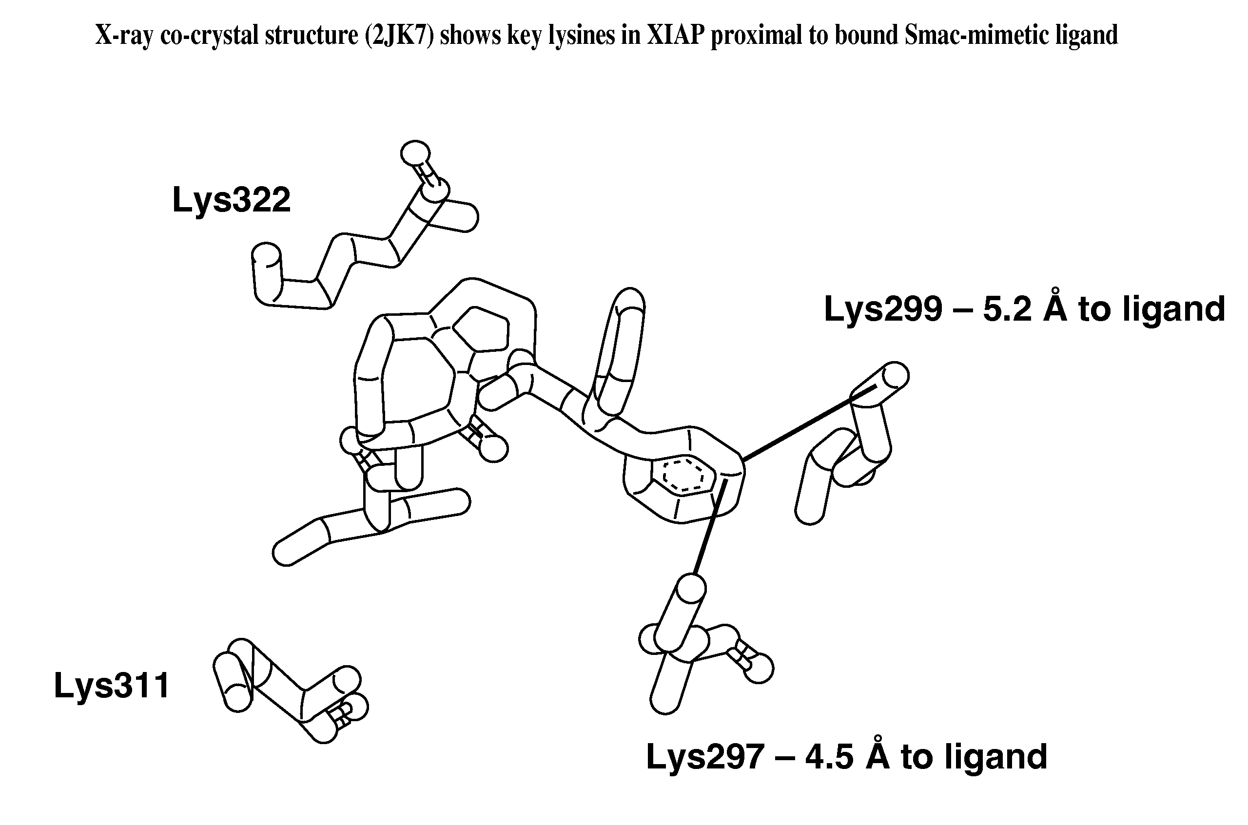 Ligand-directed covalent modification of protein