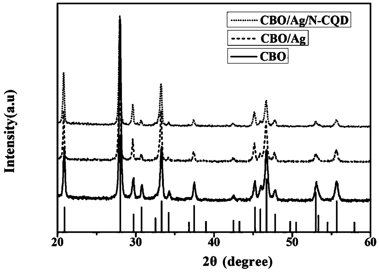 Preparation method for co-modified copper bismuthate nanorod photocathodes