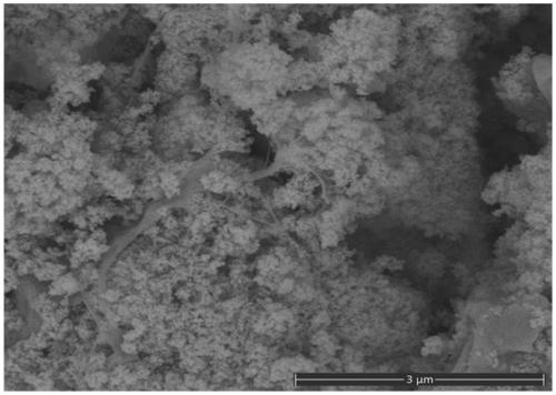 Nano silicon dioxide-doped nanocellulose material as well as preparation method and application thereof