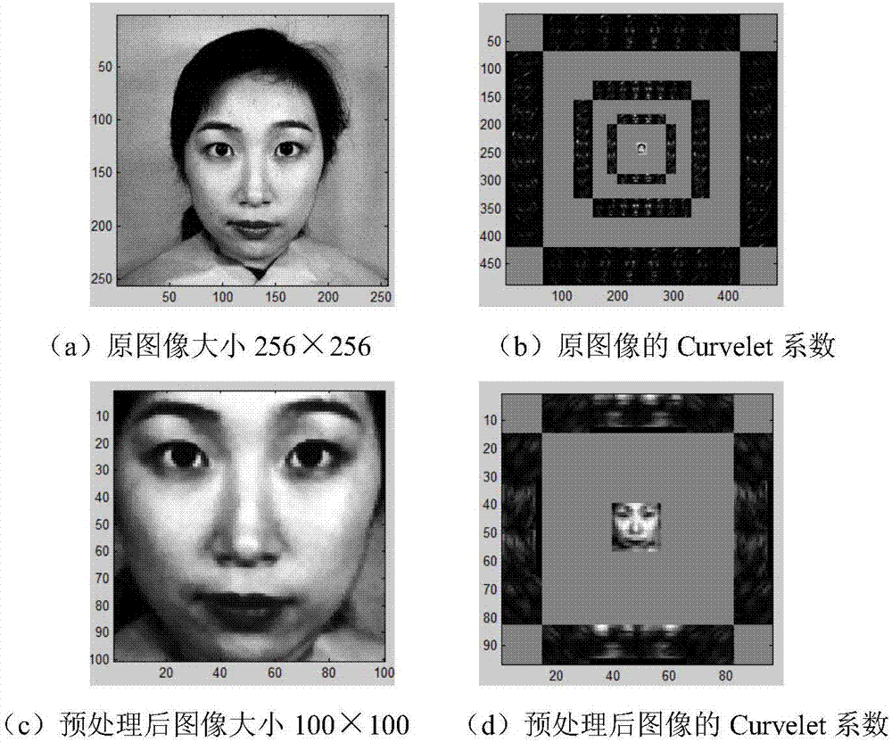 Human face expression recognition method based on Curvelet transform and sparse learning
