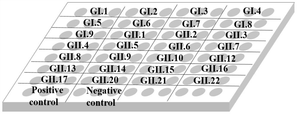 ELIS method and kit for panoramic identification of intra-genus broad spectrum of human norovirus antibody