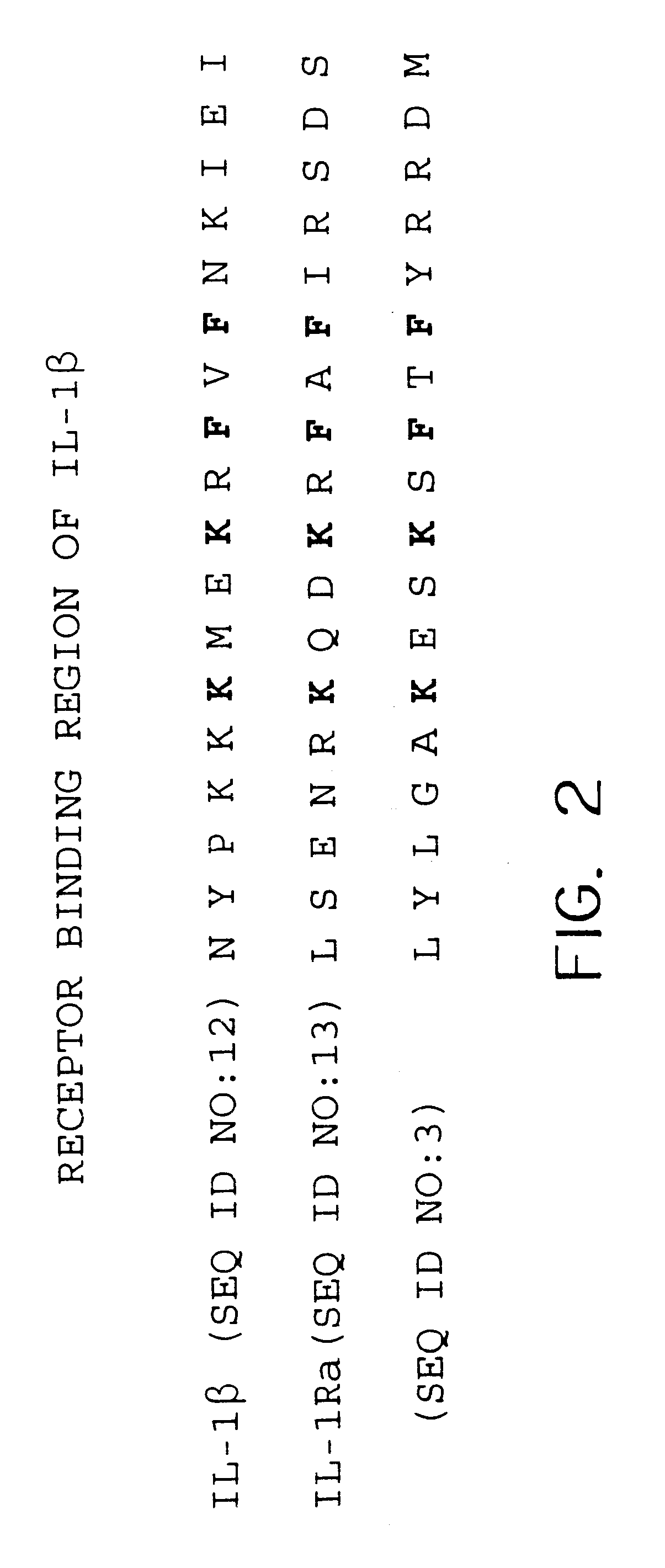 Interleukin-1 receptor antagonist and recombinant production thereof