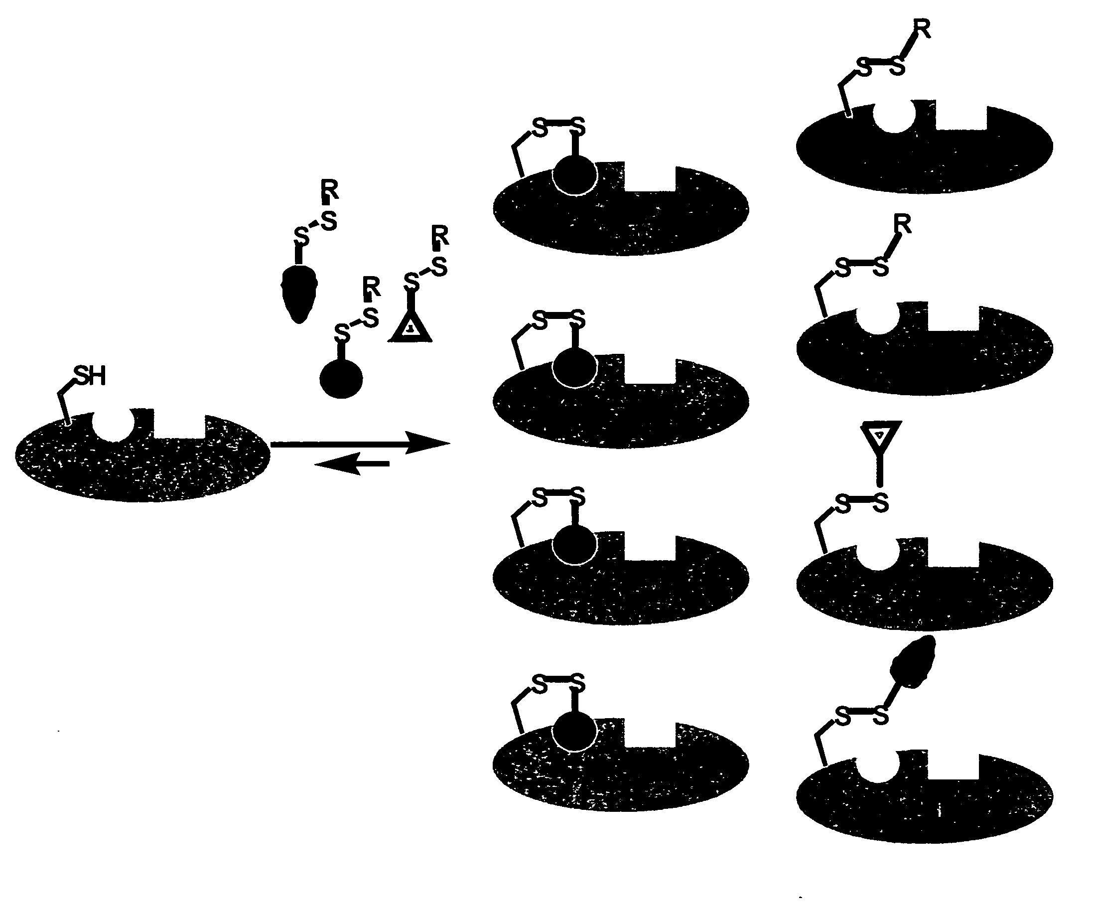 Ligands and libraries of ligands