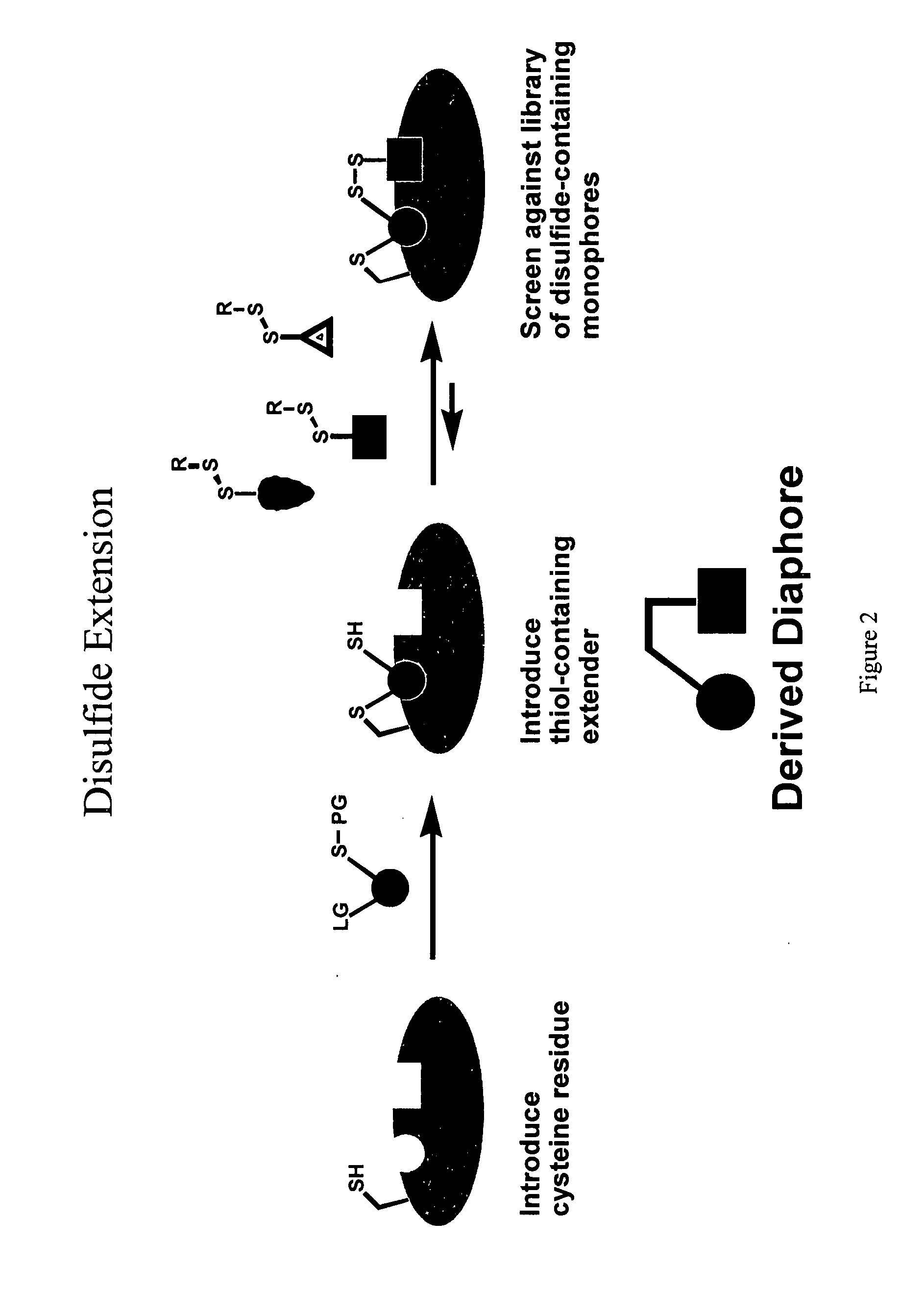 Ligands and libraries of ligands