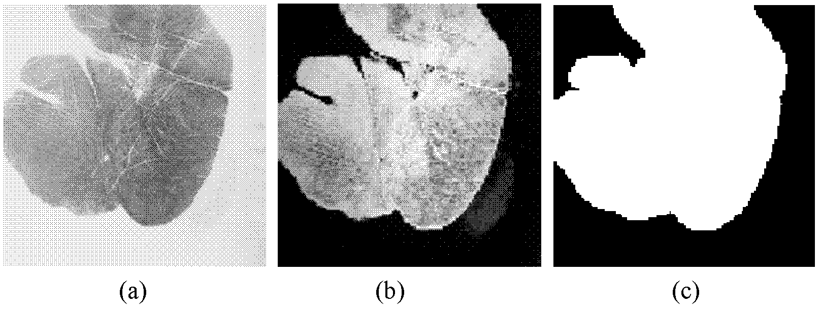 Method for identifying left and right palm prints based on directions