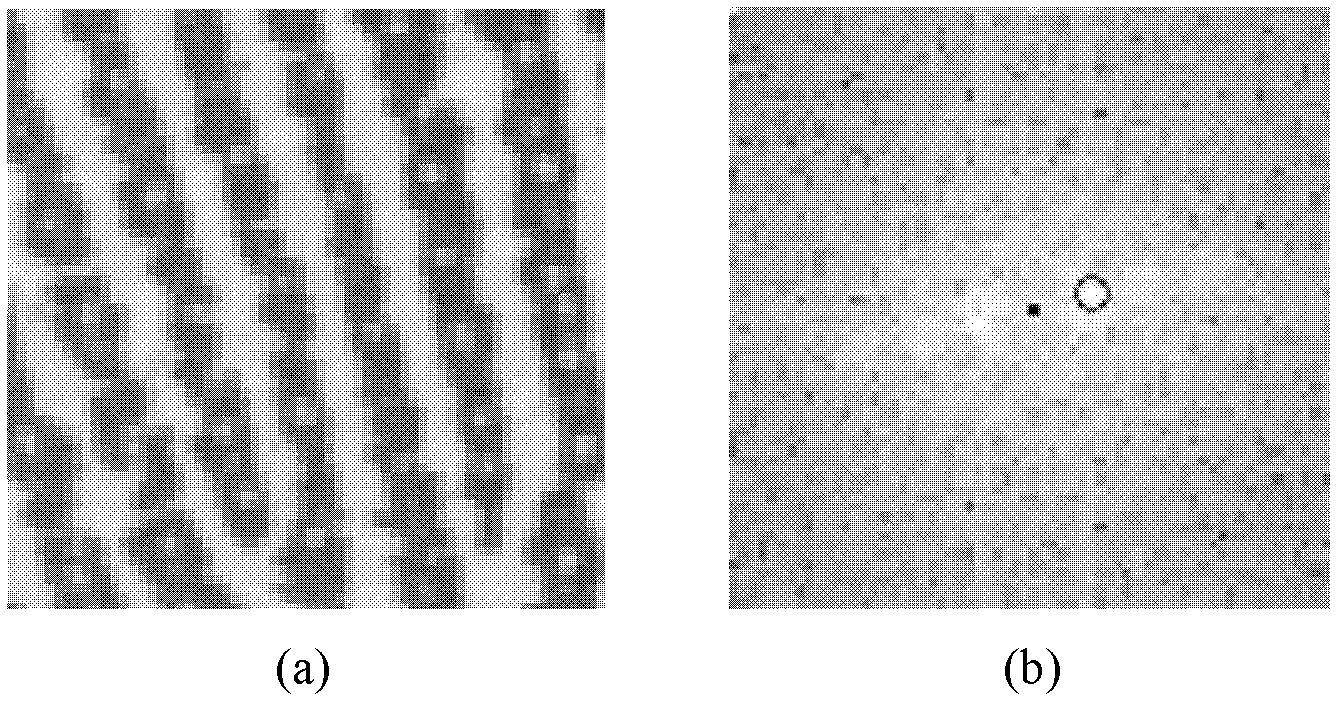 Method for identifying left and right palm prints based on directions