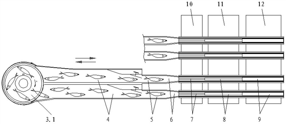 Vibration classifier for processing large yellow croaker and its classifying method
