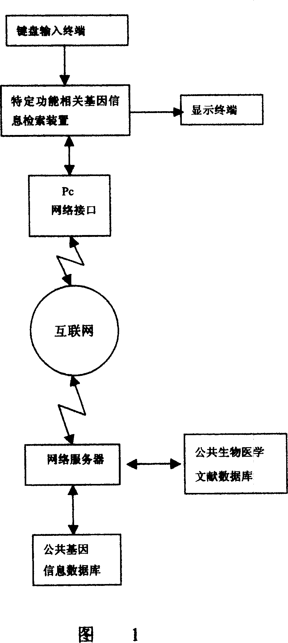 Specific function-related gene information searching system and method for building database of searching workds thereof