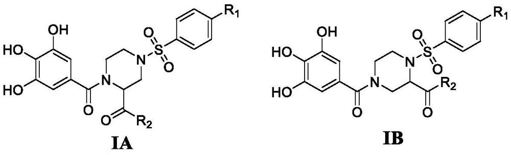 4-phenylsulfonyl-1-trihydroxybenzoylpiperazine-2-carboxamide derivative and its preparation method and application