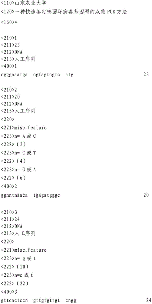 A rapid dual PCR method for genotype identification of duck circovirus