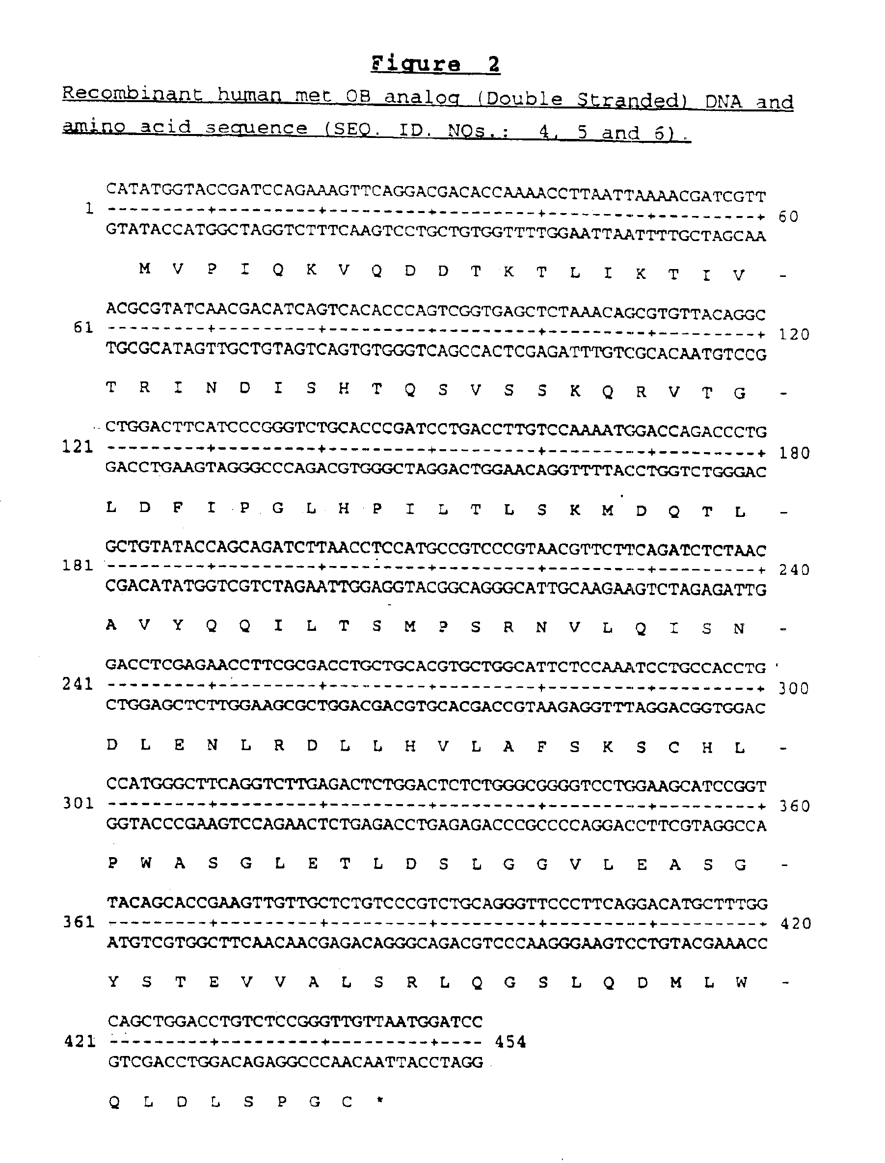 OB fusion protein compositions and methods
