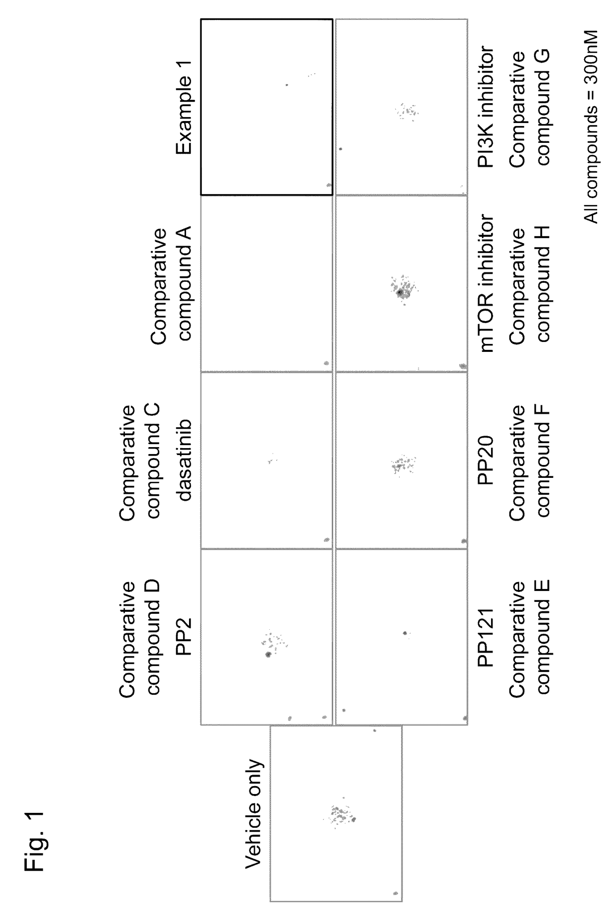 Agent for treating or inhibiting recurrence of acute myeloid leukemia