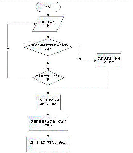 Digital image processing method for varicose vein of lower limb