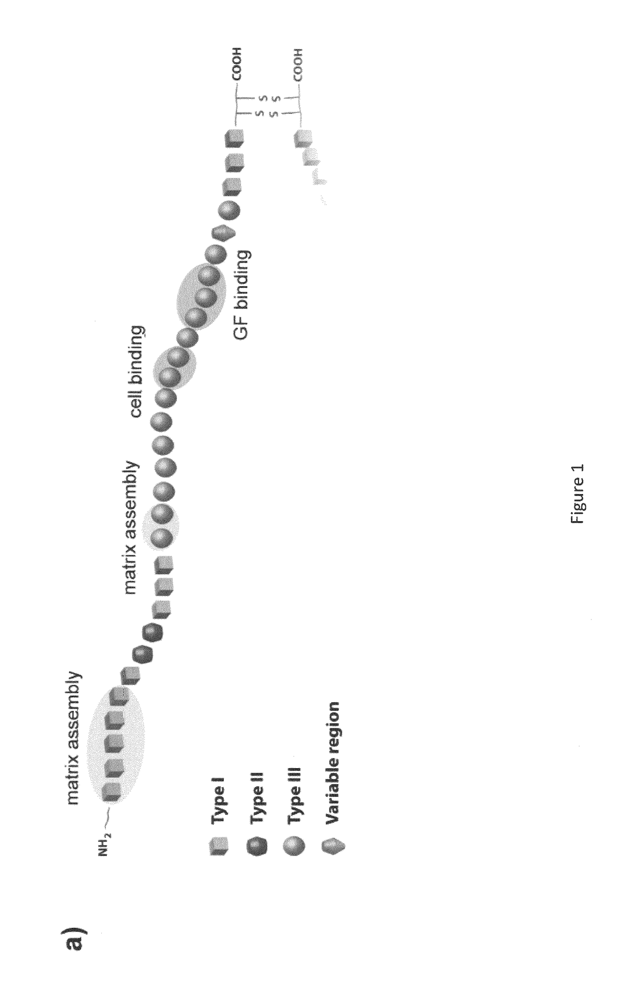 Materials And Methods For Tissue Regeneration