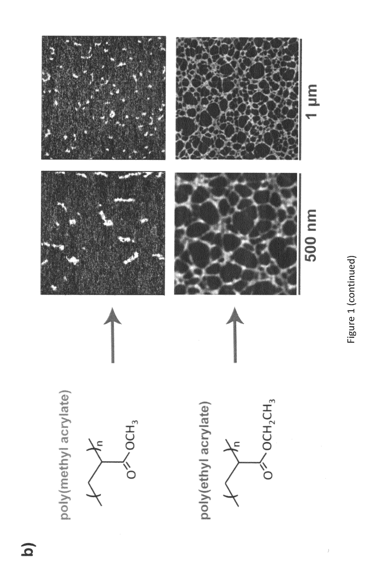 Materials And Methods For Tissue Regeneration