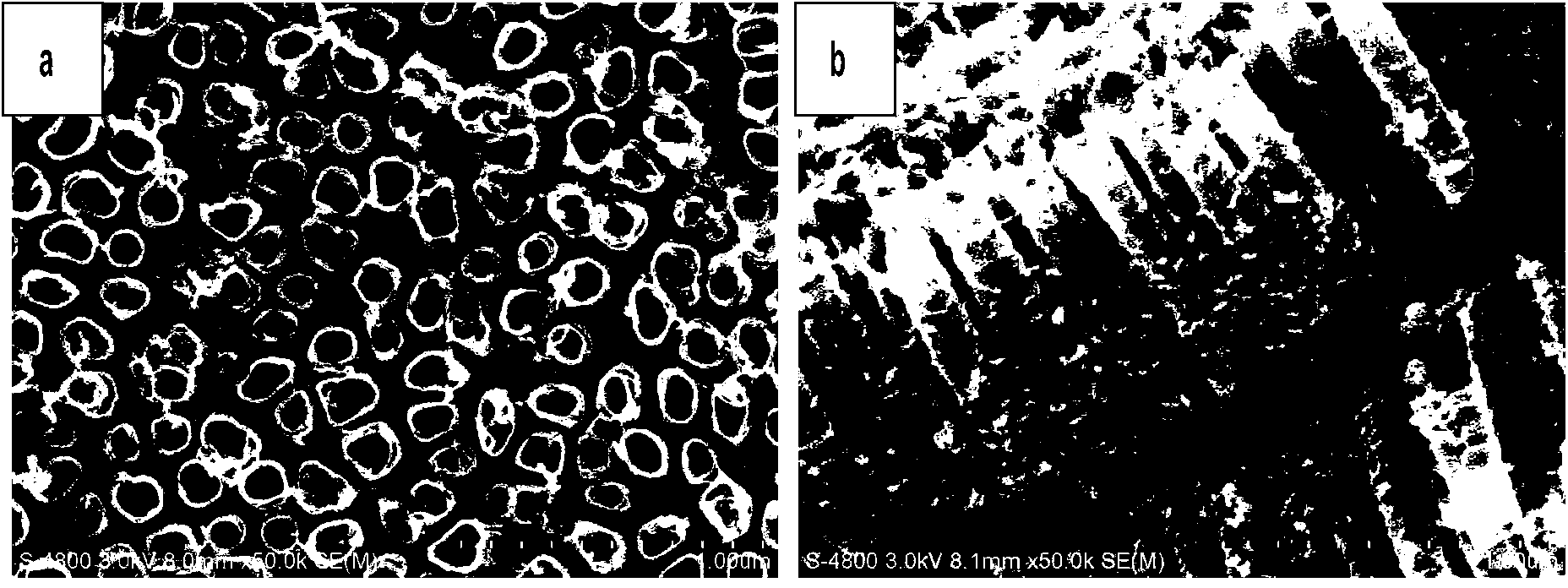 Polypyrrole-titanium dioxide or titanium nitride-polyaniline coaxial three-layer nanotube array composite material, and preparation method and application thereof