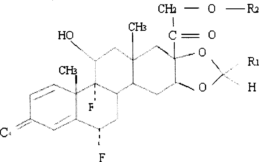 Ciclesonide medicinal spraying agent and its preparation method