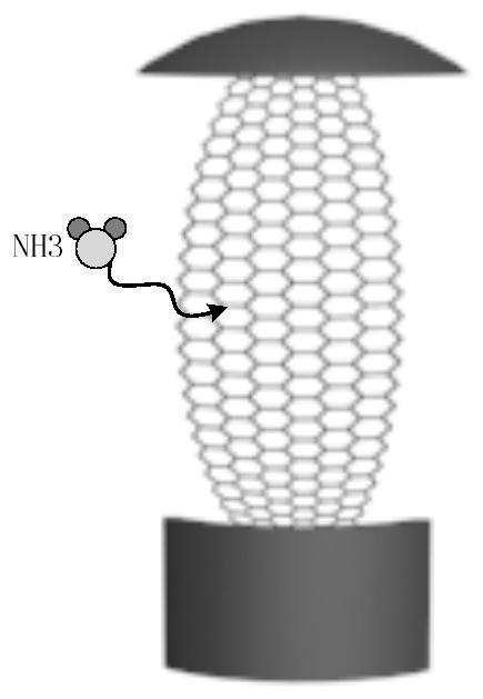 A whispering gallery microsphere cavity single-molecule gas sensor embedded in graphene