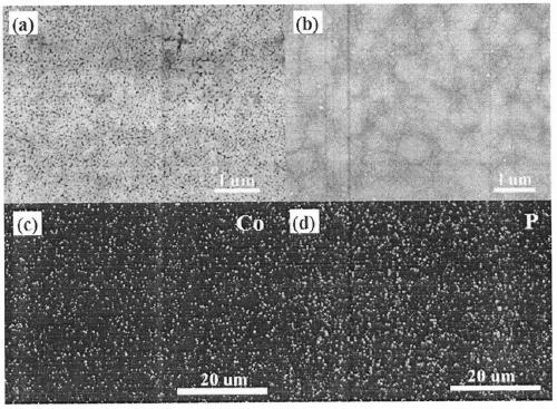 A kind of cobalt phosphate cocatalyst modified bifeo3 thin film photoelectrode and preparation method thereof