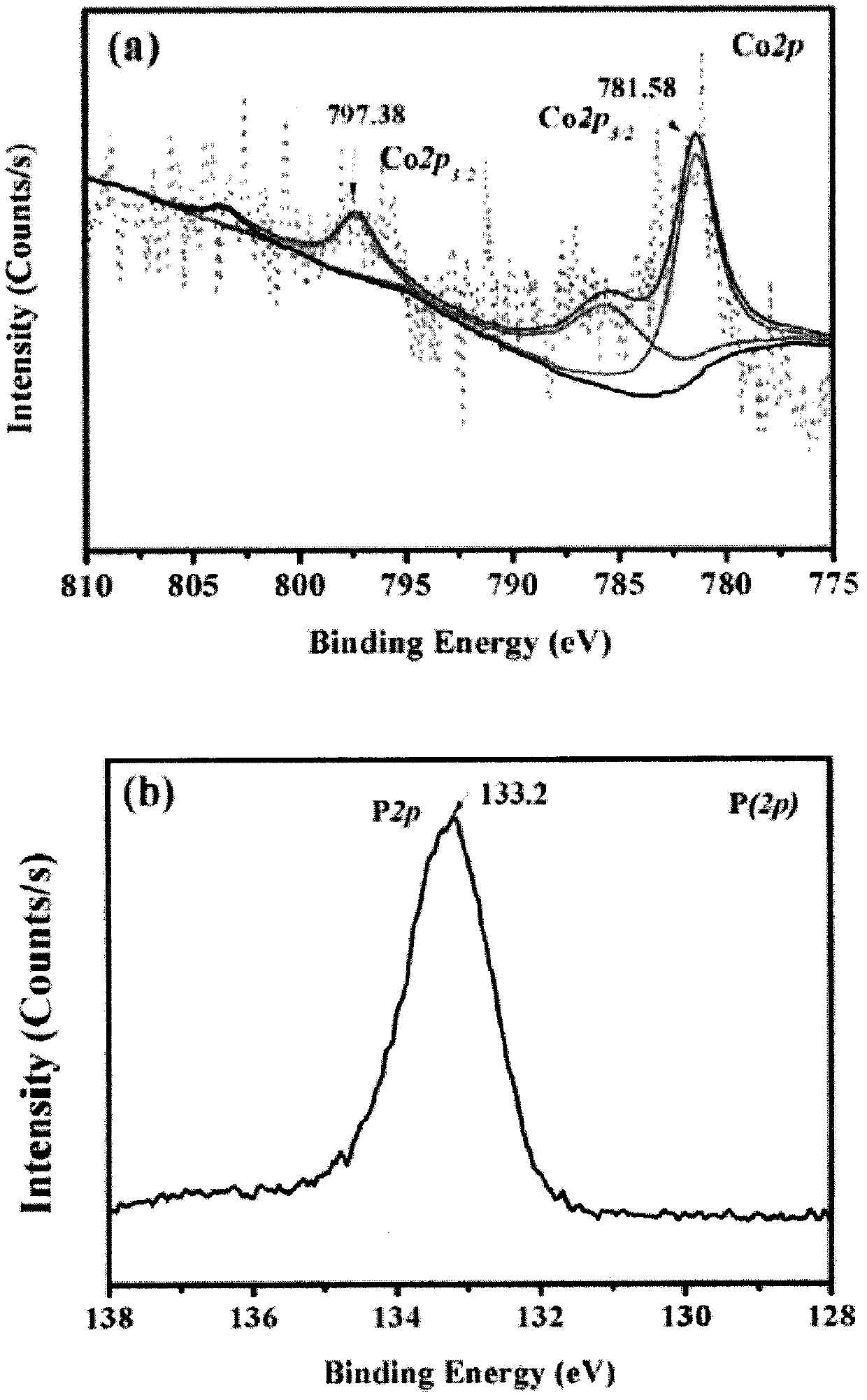 A kind of cobalt phosphate cocatalyst modified bifeo3 thin film photoelectrode and preparation method thereof