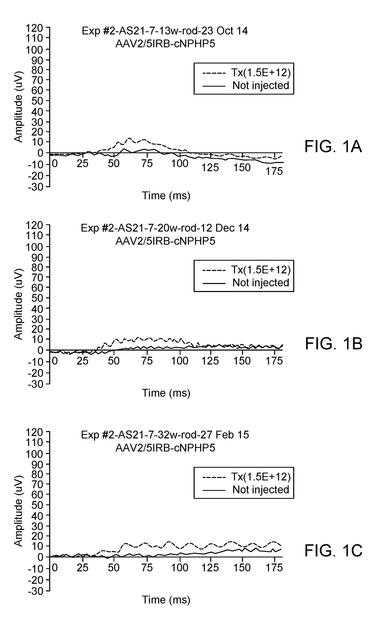 Aav-mediated gene therapy for nphp5 lca-ciliopathy