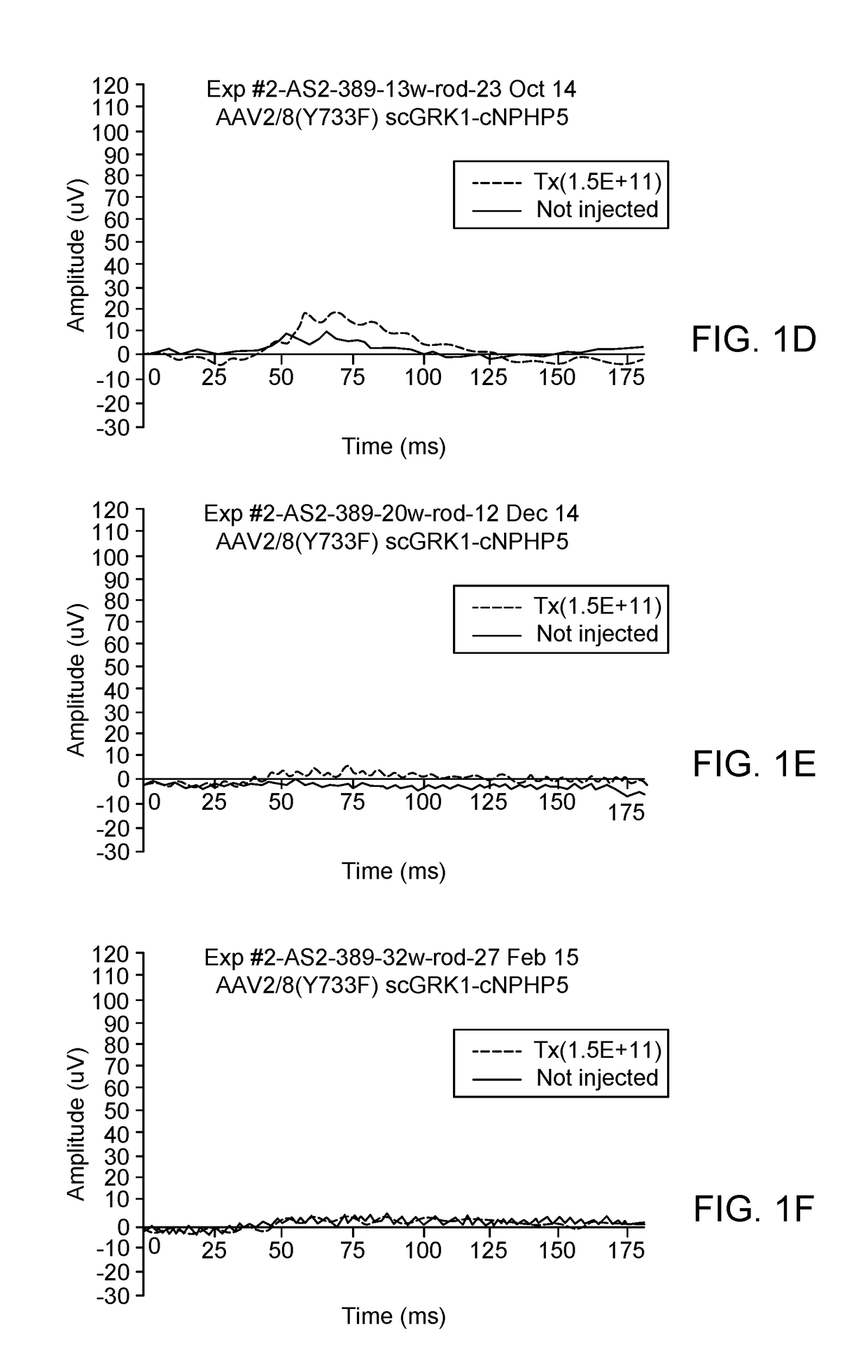 Aav-mediated gene therapy for nphp5 lca-ciliopathy