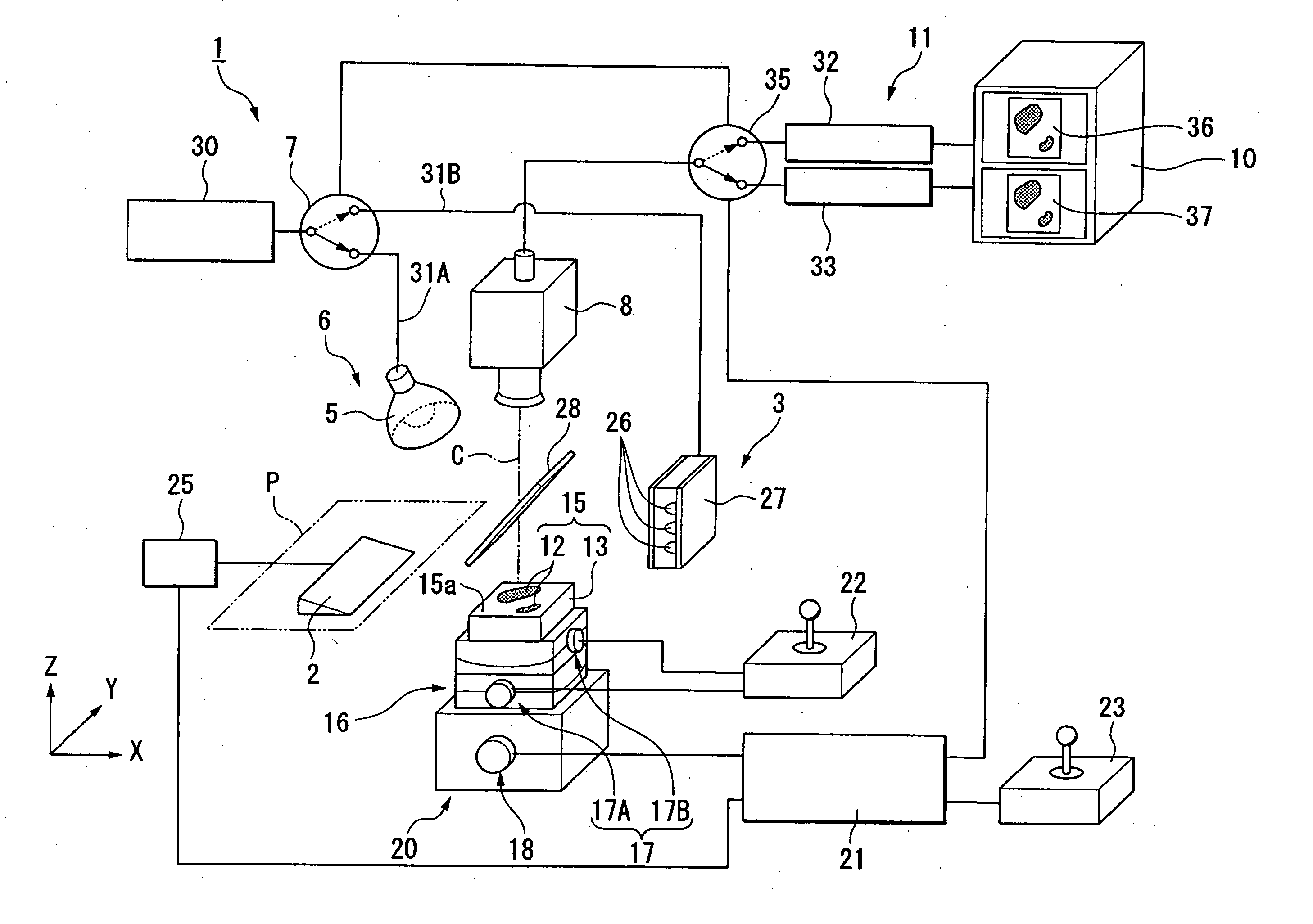 Instrument for fabricating prepared slide of tissue section and sectioning method