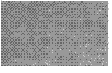 Functional crystallization master batch and preparation method thereof and waterproof material