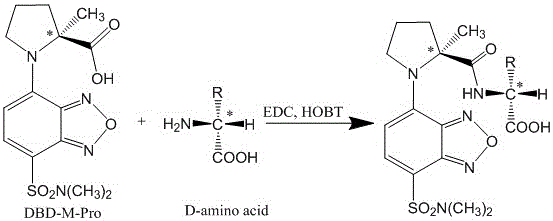 Amino functional group chiral compound resolution mark band fluorescence derivatizing agent