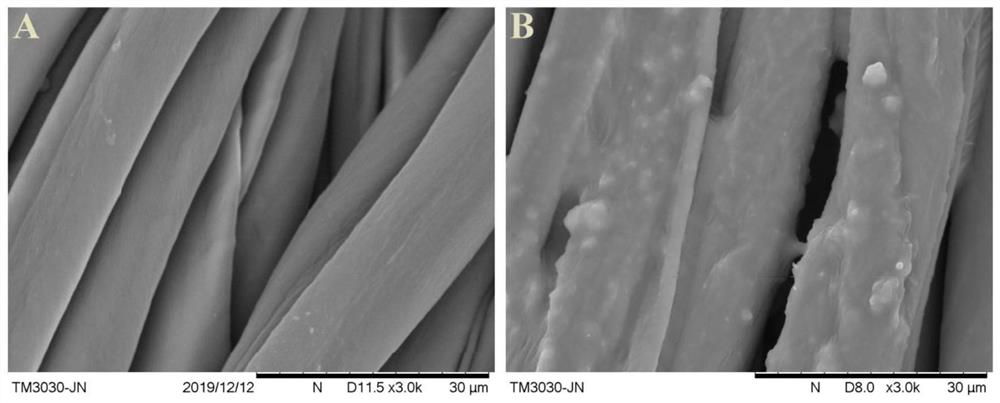 A kind of multifunctional cotton fabric with reproducible antibacterial performance and its preparation method