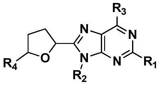 Novel C8-heterocyclic alkylated purine nucleoside analogue and synthetic method thereof